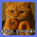 못난이꽈배기 미추홀점 네이버블로그