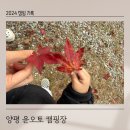 윤 오토캠핑장 | 10월의 캠핑기록, 양평 윤오토캠핑장
