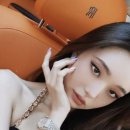 프리지아A 이미지