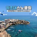양양 하조대 스노쿨링 : 방문시간 주차 필수준비물 사진스팟