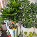 칠성남로 이미지