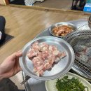 가리678