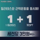 아나토미 스트랭스 네이버블로그