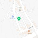일산고양이분양&미용 반하나캣 이미지