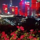 홍콩 간 여우 이미지