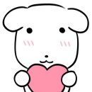 홍익반점 | 12월 주간 기록 1, 보배반점과 쭈꾸미 볶음