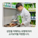 양신탕 이미지
