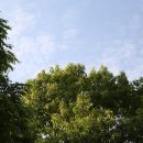 포인트광학 | 광학기사 필기 후기(2026-2회차)