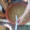 정석그린아파트 이미지