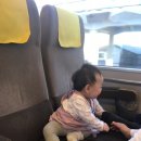 만8개월 아기와 2박 3일 일본여행(교토/오사카 도톤보리)