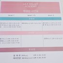 유아발레(5~6세) | [내돈내산] 은평구 유아발레 - 6세 아이가 즐겁게 다니는 릴리발레학원 후기