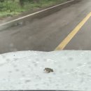 산내면 중황마을 이미지