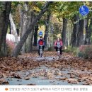 화랑로5 네이버블로그