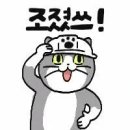 슈카햄 피셜 단일종목 레버리지 롱숏 모두 손실중 ㅋㅋㅋ 이미지