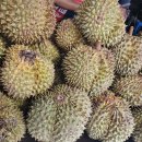 인지공판장 이미지