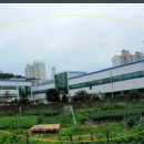 기흥초등학교 이미지