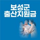 조성면행정복지센터 | 2026년 보성군 출산지원금 안내｜첫째부터 셋째 이상까지 얼마 받을까?