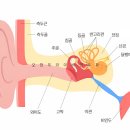 서청주하나이비인후과의원 | 청주메니에르, 어지럽고 귀가 먹먹한 증상 <고려>