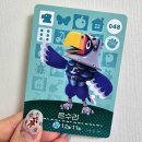 2024 매직컬 판타지 콘서트 | 260110 윤하 소극장콘서트 빛나는 겨울 후기