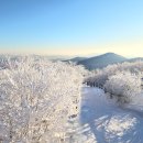 함백산 이미지