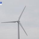 삼성조류 이미지