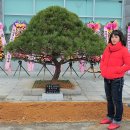 이용대체육관 이미지