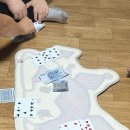 한우치과기공소 이미지