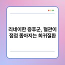 리네 이미지