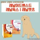 신부전 보조제 추천 :: 레날어드밴스드/레날독스/레날캣츠