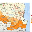 씨앤엘팜 이미지