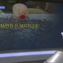 용서경로당 이미지