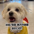 코코앤몽 이미지