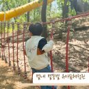 서울 근교 아이랑 나들이 남양주 다산 별내 별똥별 유아숲체험원