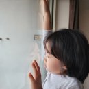 위너스주유소 | 20231224_강릉에서 대관령 눈꽃마을