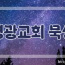 [2025-12-12]다만 악에서 구하소서 이미지