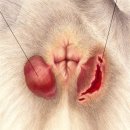 희망동물병원 이미지