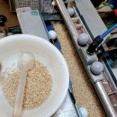 제일종묘사 이미지