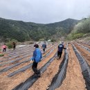 사랑이농장 충청타임즈