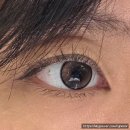 오렌즈 수원인계점 | 오렌즈 샘플신청 방법 | 글로이 티어 미니 브라운
