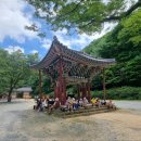 천년숲서로 이미지