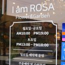 아이엠로사 이미지