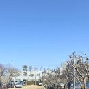 배갈비, 태릉배갈비 | 남양주 별내 돼지갈비 맛집 원조태릉갈비에서 맛 본 갈비탕의 맛은? 🫠