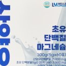 웰스리믹