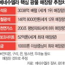 주먹이 곧 정의이다 /작성 중 이미지