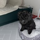 (주)아성다이소 광주하남지구점 | 2024.10. 슬기로운 자취생활-!