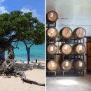 SUN STAY HOTEL 이미지