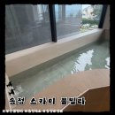 송정스카이풀 | 부산 풀빌라 추천 송정해수욕장 바로 앞 감성 숙소 솔직 후기