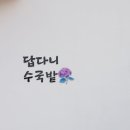 천섭농장 | [제주 수국명소] 답다니 수국밭 6월 후기&amp;수국 개화시기