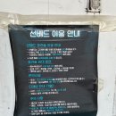 모사금 선베드 네이버블로그