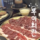 뭉티의 하루 | 종각역 술집 회식 우미회관 신선하고 쫀득한 뭉티기 추천